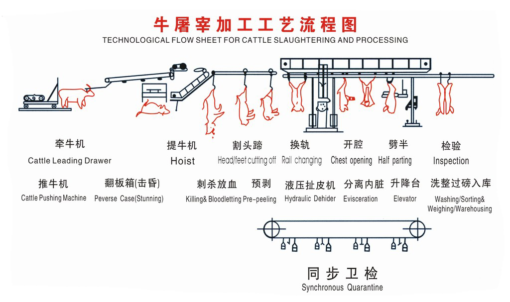 l2牛屠宰工艺流程.jpg