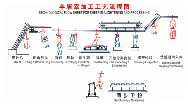 l3羊屠宰工艺流程.jpg