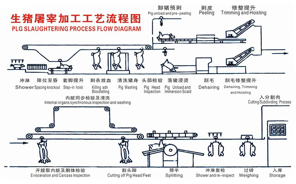 开封猪屠宰工艺流程