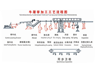 河池牛屠宰工艺流程