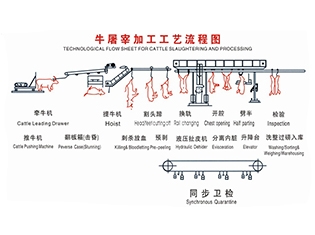 来宾牛屠宰工艺流程