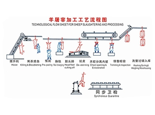 湖北 羊屠宰工艺流程